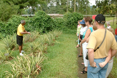 Montego Bay Plantation Tour cruise excursion
